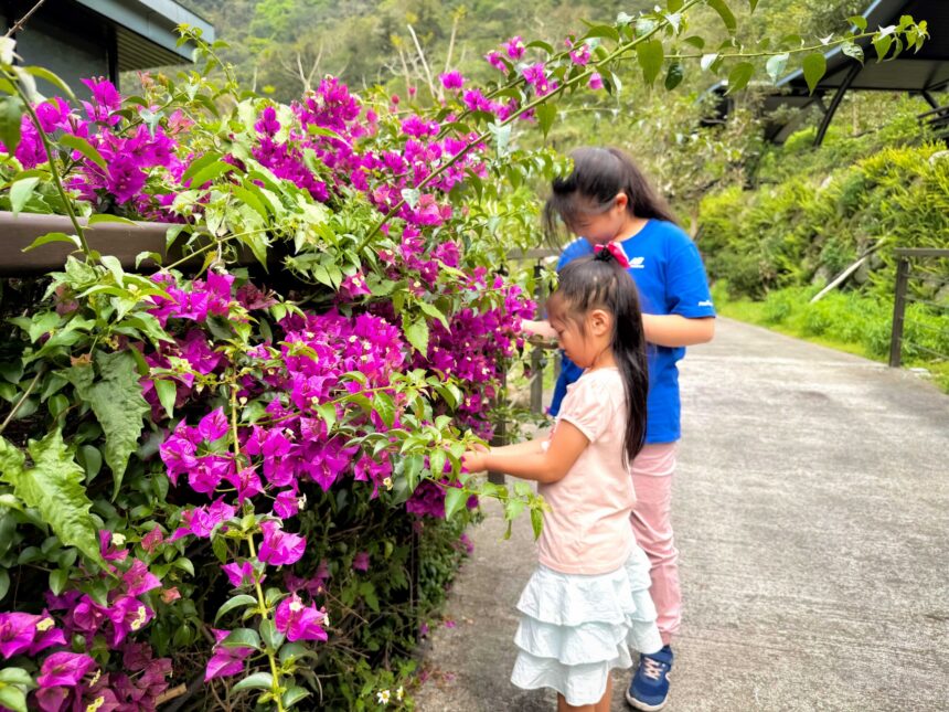 阿里山腳下親子賞螢熱點　美食×體驗×夜間生態一次玩