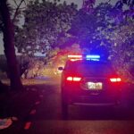 風雨無阻　北斗暖警即時排除路樹倒塌　守護用路人安全