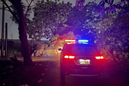 風雨無阻　北斗暖警即時排除路樹倒塌　守護用路人安全