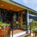 放鬆旅行！走進嘉義梅山為身心開一帖「自然處方」