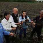 清明豪雨重創蒜田　雲縣府會勘籲中央啟動災損救助