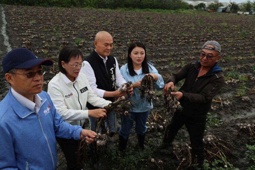 清明豪雨重創蒜田　雲縣府會勘籲中央啟動災損救助