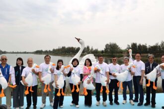 8米巨型天鵝閃耀登場 「雲林天鵝湖嘉年華」盛大開幕　嗨翻兒童節連假