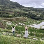 鳶尾花遇見嵩山百年梯田　新北石門嵩山春季限定