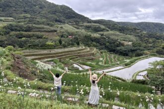 鳶尾花遇見嵩山百年梯田　新北石門嵩山春季限定