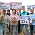 乾旱及暖冬致蒜球偏小產量銳減  縣長張麗善呼籲中央免勘查救助