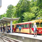 阿里山療癒慢旅　老宅鍋物　茶園與螢光夜景串聯山林風貌