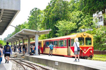 阿里山療癒慢旅　老宅鍋物　茶園與螢光夜景串聯山林風貌