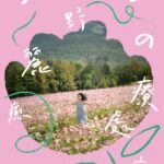 Bossa Nova女王回來了！小野麗莎夏日巡演登台 北高兩地開唱