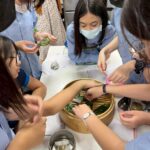 民權國中「手作雜草粿」　從採摘到品嘗傳承大橋頭智慧