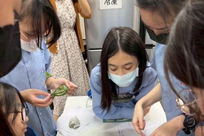 民權國中「手作雜草粿」　從採摘到品嘗傳承大橋頭智慧