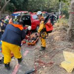 警眼如炬！少女藤山步道滑落山坡　員警火速搜救成功救回