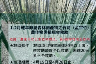 1-2月乾旱造成本縣非屬森林副產物之竹筍（孟宗竹）農作物災損　農業部同意辦理現金救助