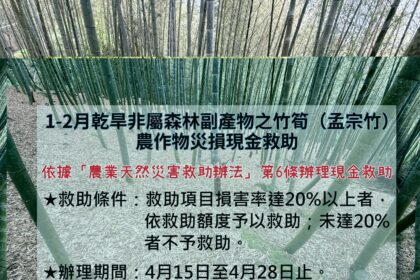 1-2月乾旱造成本縣非屬森林副產物之竹筍（孟宗竹）農作物災損　農業部同意辦理現金救助