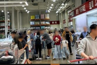 兒童節帶動買氣好市多湧人潮　玩具區擠爆孩子許願就是要這隻