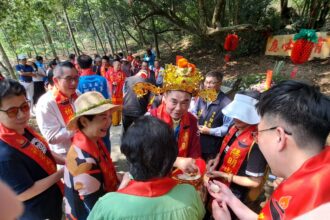 客家大院桐花季熱鬧開鑼！鍾東錦化身伯公仔發麻糬「黏錢」 邀民眾賞桐趣