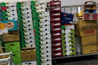 為何就是愛逛好市多？會員狂推「乾淨＋服務」：習慣真的改不了