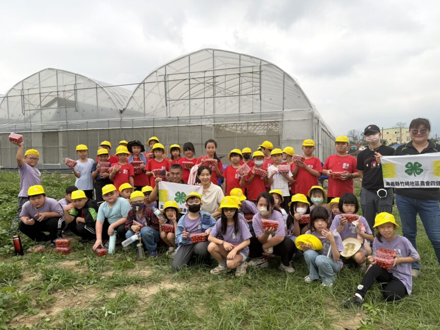 竹崎食農體驗結合愛心義賣　鹿滿學童採番茄助弱勢