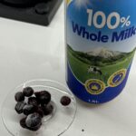 好市多冷凍藍莓爆紅　會員自製冰品一杯不到30元 直呼省很大