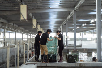 漁電共生打造永續養殖新模式　泓德能源日運案場成國內外關注示範場域