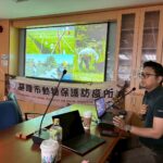 野鴿群聚有解　基隆倡共存管理　停止餵食成關鍵