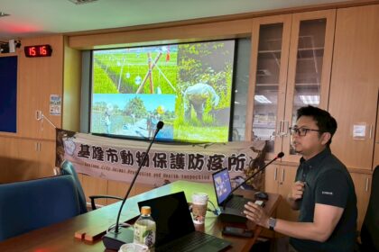 野鴿群聚有解　基隆倡共存管理　停止餵食成關鍵
