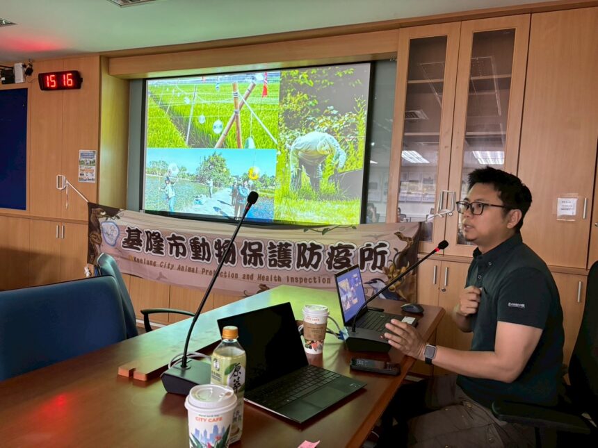 野鴿群聚有解　基隆倡共存管理　停止餵食成關鍵