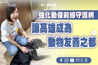 柯志恩委員針對高雄動保議題的回應