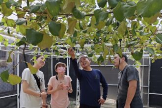 智能設施　農業生產有智慧