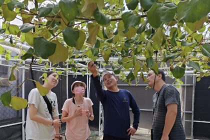 智能設施　農業生產有智慧