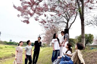 台南仁德滯洪池花旗木綻開 中華醫大師生分享最新花況