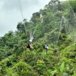 又是人為陷阱！鳥網奪走11條命　只有牠「眨眼」活了下來