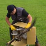 獲救「眨眼」黑鳶重返山林！打擊非法鳥網籲山友撥1959通報