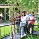 中正公園天鵝洞華麗變身　邱佩琳盼風華再現