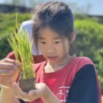 響應422地球日　北市平等國小「禾作社」彎腰學食農