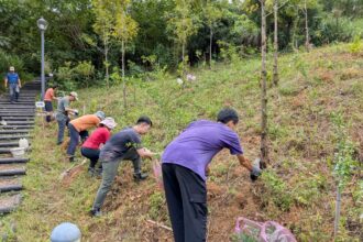 公私協力守護文山森林公園　步道維護與生態保育成果展現