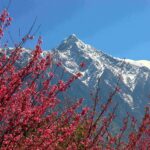 玉山在哪裡？「看見玉山-多視角之美」影像徵集活動