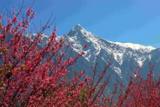 玉山在哪裡？「看見玉山-多視角之美」影像徵集活動